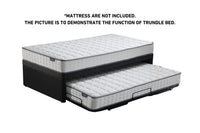 Compressed Erin Trundle Bed Frame Only