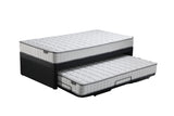 Erin Trundle Bed