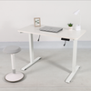 Evo Electric Standing Height Adjustable Desk 1.2m/1.4m/1.6m